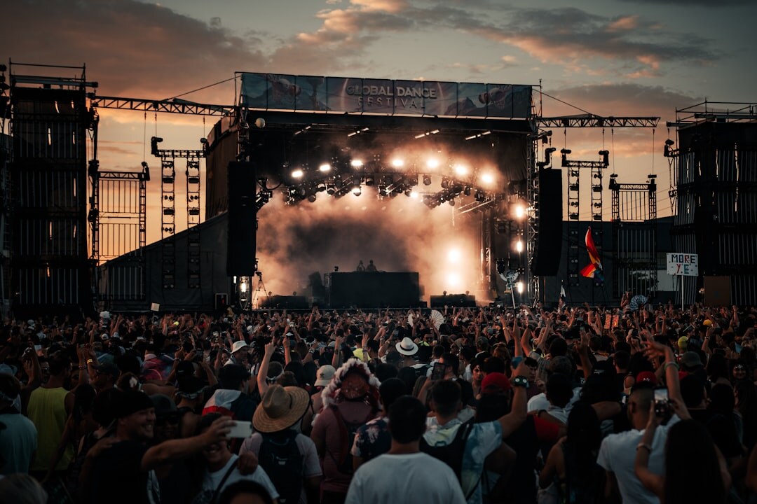 crowd at music festival